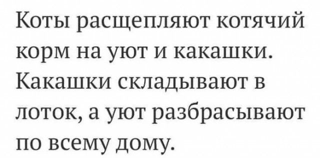 Коты расщепляют котячий корм на уют и какашки Какашки складывают в поток а уют разбрасывают по всему дому