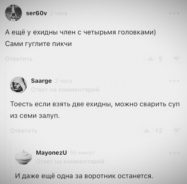 9 А ещё у ехидны член с четырьмя головками Сами гугпите пикчи 5ааг99 Тоесть если на две ехидны можно свариь суп из семи запуп Мауппеш и даже ещё одна за нпротник пптанется