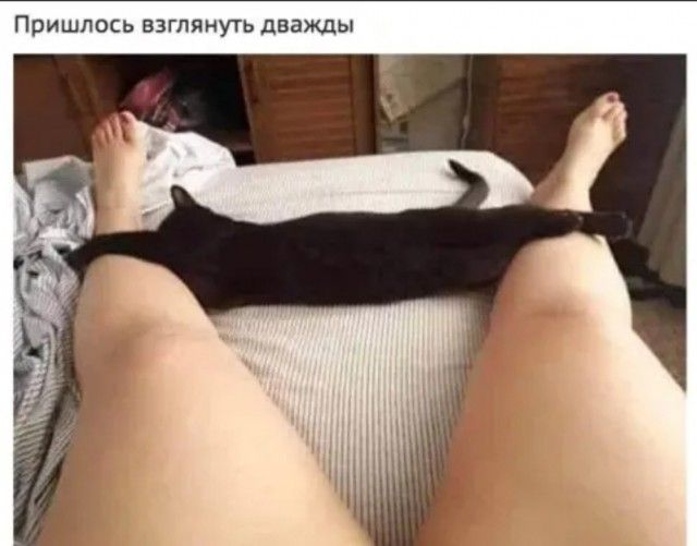 Пришлось взгпяиуть дважды