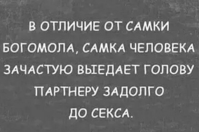 В ОТЛИЧИЕ ОТ САМКИ БОГОМОЛА САМКА ЧЕЛОВЕКА ЗАЧАСТУЮ ВЫЕДАЕТ ГОЛОВУ ПАРТНЕРУ ЗАДОЛГО ДО СЕКСА