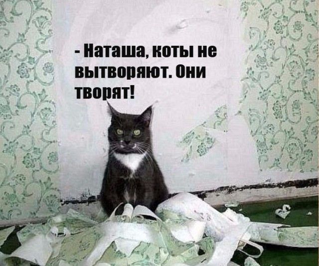 Наташа ИШЫ ИЕ ВЫТВЩПШП ШШ ТВЩШТ