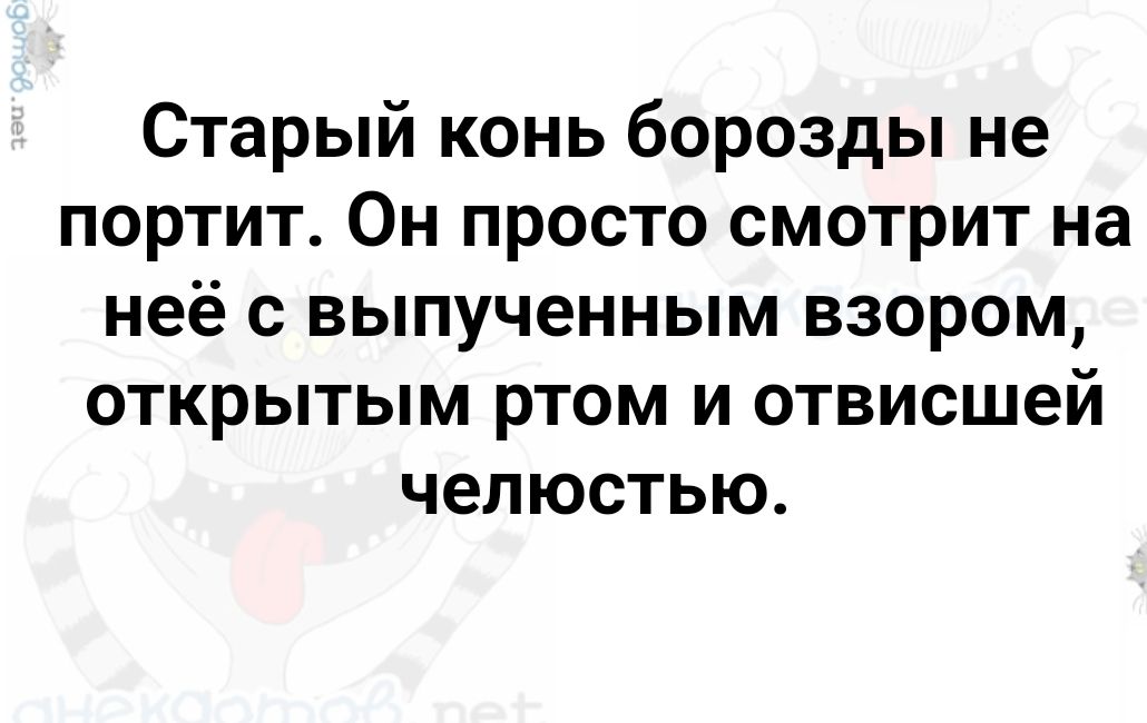 Старый конь борозды не портит Он просто смотрит на неё с выпученным взором открытым ртом и отвисшей челюстью