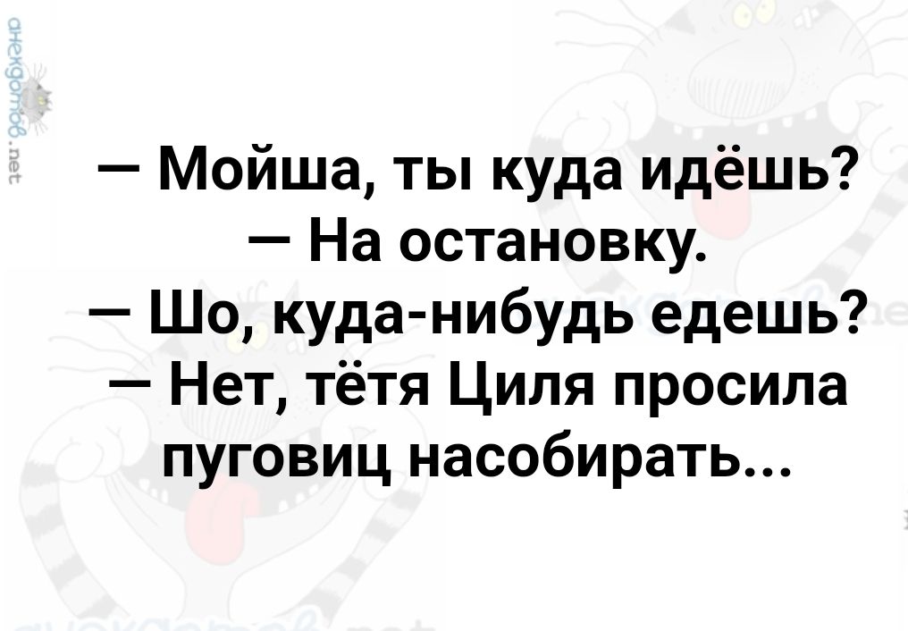 Мойша ты куда идёшь На остановку Шо куда нибудь едешь Нет тётя Циля просила пуговиц насобирать