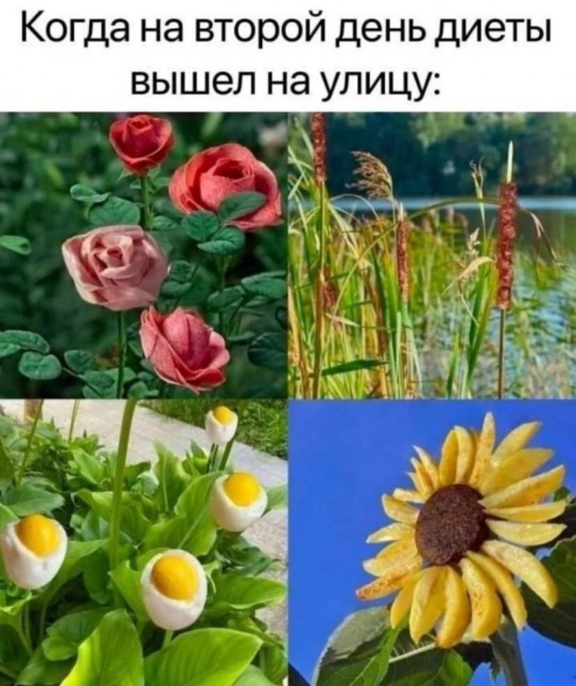 Когда на второй день диеты вышел на улицу