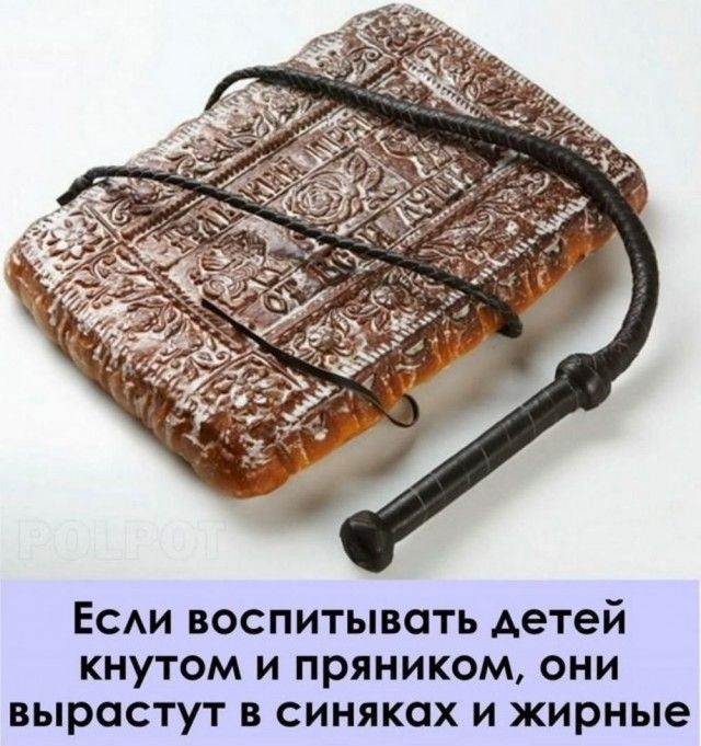 Есди воспитывать детей кнутом и прямиком они вырастут в синяках и жирные