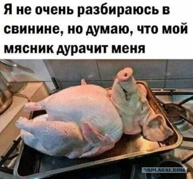 Я не очень разбираюсь в свинине НО думаю ЧТО МОЙ мясник дурачит меня _