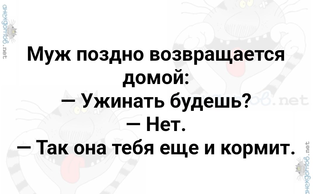 Муж поздно возвращается домой Ужинать будешь Нет Так она тебя еще и кормит