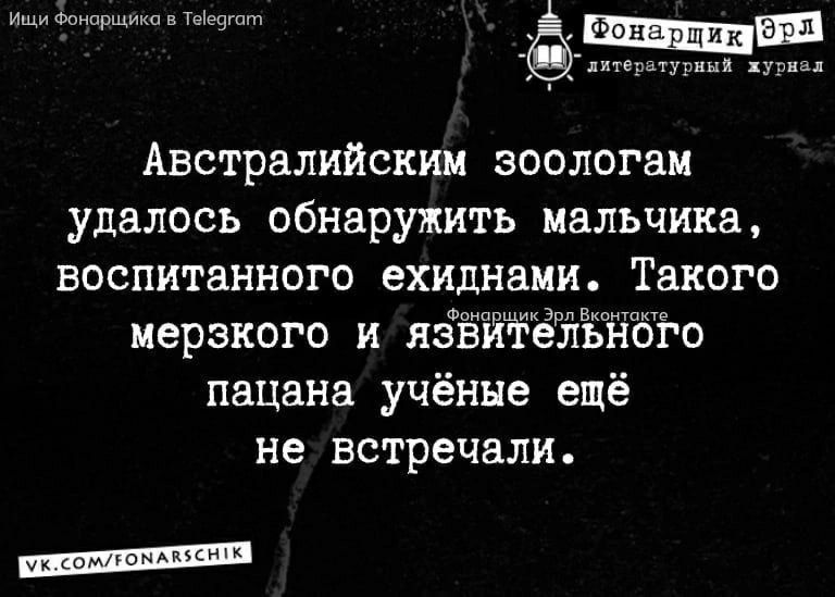 Ици Фоноркцяко в Тейдгот о кнтеротурный журная Австралийским зоологам удалось обнаружить мальчика воспитанного ехиднами Такого мерзкого и язВИТельного пацана учёные ещё не встречали Г сомлонАмн