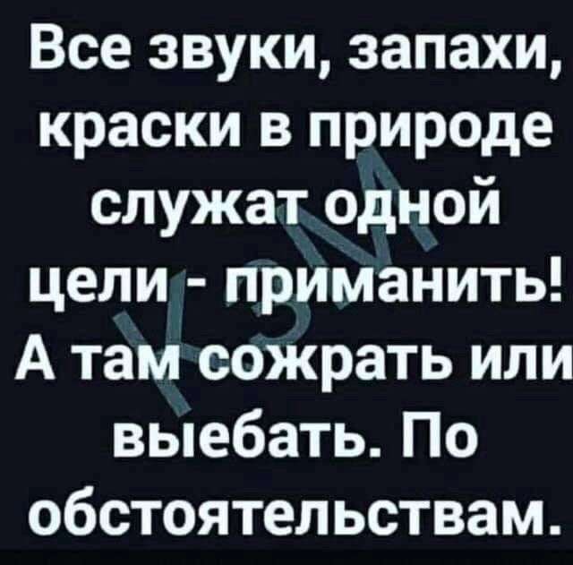 Все звуки запахи краски в природе служатодной цели приманить А тамсожрать или выебать По обстоятельствам