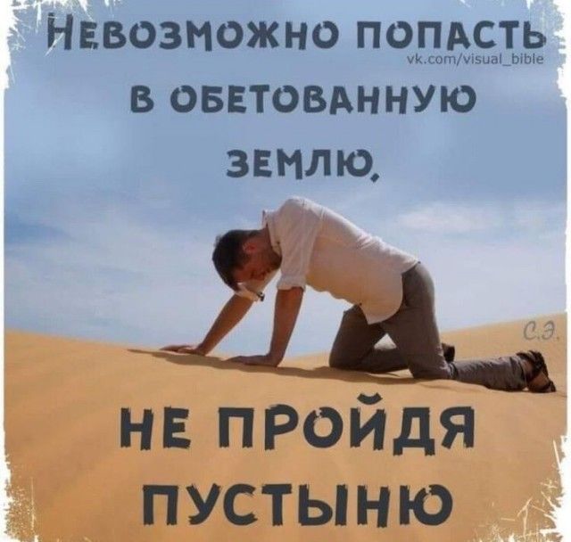 ллллллллллллл в ОБЕТОВАННУЮ ЗЕМЛЮ 5 НЕ ПРОЙДЯ ПУСТЫНЮ