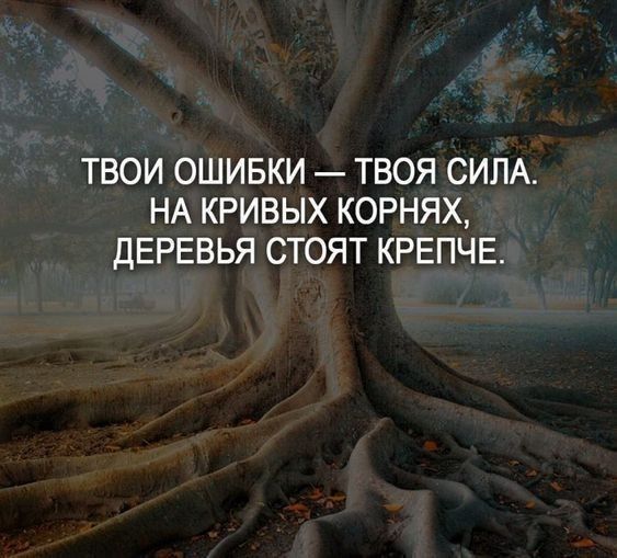 ТВОИ ОШИБКИ ТВОЯ СИЛА НА КРИВЫХ КОРНЯХ ДЕРЕВЬЯ СТОЯТ КРЕПЧЕ