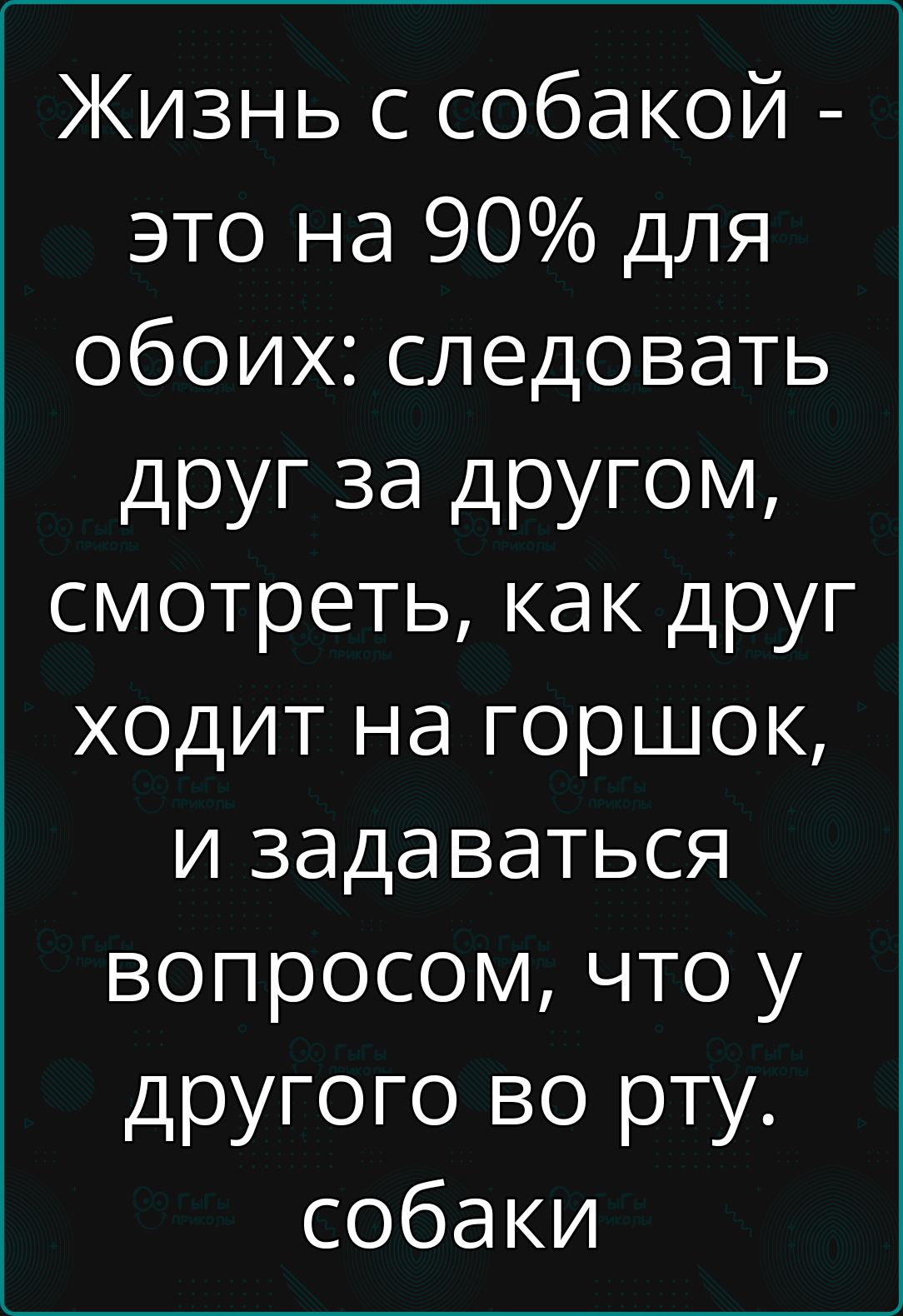 Жизнь с собакой это на 90 для обоих следовать друг за другом смотреть как друг ходит на горшок и задаваться вопросом что у другого во рту собаки