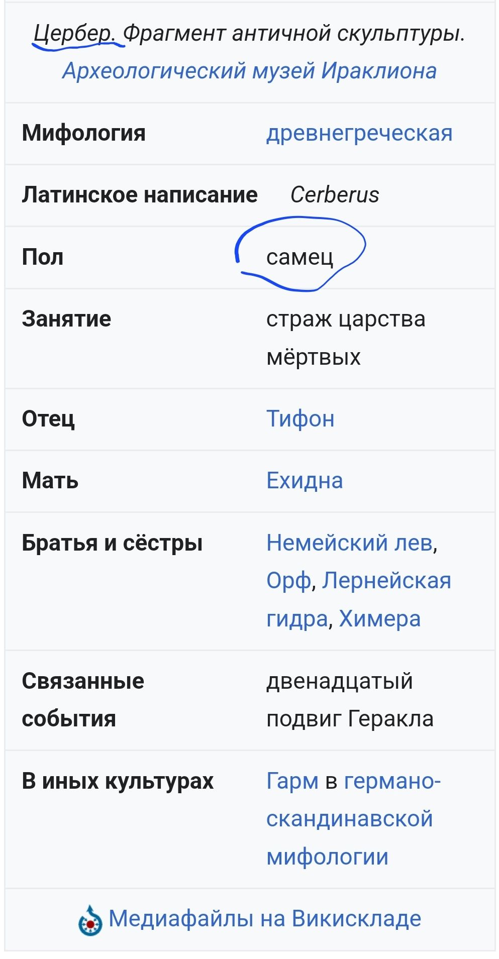 Цербер Фрагмент античной скульптуры Археологический музей Ираклиона Мифология древнегреческая Латинское написание Сегбегиз Пол самец Занятие страж царства мёртвых Отец Тифон Мать Ехидна Братья и сёстры Немейский лев Орф Лернейская гидра Химера Связанные двенадцатый события подвиг Геракла В иных культурах Гарм в германо скандинавской мифологии ё Мед