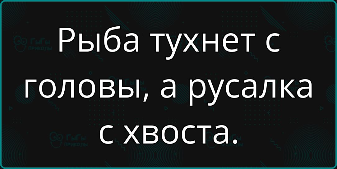 Рыба тухнет с головы а русалка с хвоста