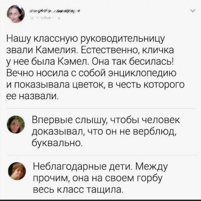 е оу ол Нашу классную руководительницу звали Камелия Естественно кличка у нее была Кэмел Она так бесилась Вечно носила с собой энциклопедию и показывала цветок в честь которого ее назвали Впервые слышу чтобы человек доказывал что он не верблюд буквально Неблагодарные дети Между прочим она на своем горбу весь класс тащила