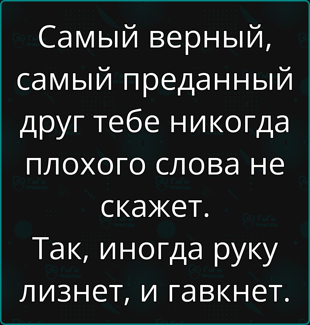 Самый верный самый преданный друг тебе никогда плохого слова не скажет Так иногда руку лизнет и гавкнет