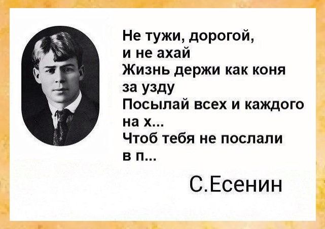 Не тужи дорогой ине ахай Жизнь держи как коня за узду Посылай всех и каждого на х Чтоб тебя не послали вт СЕсенин