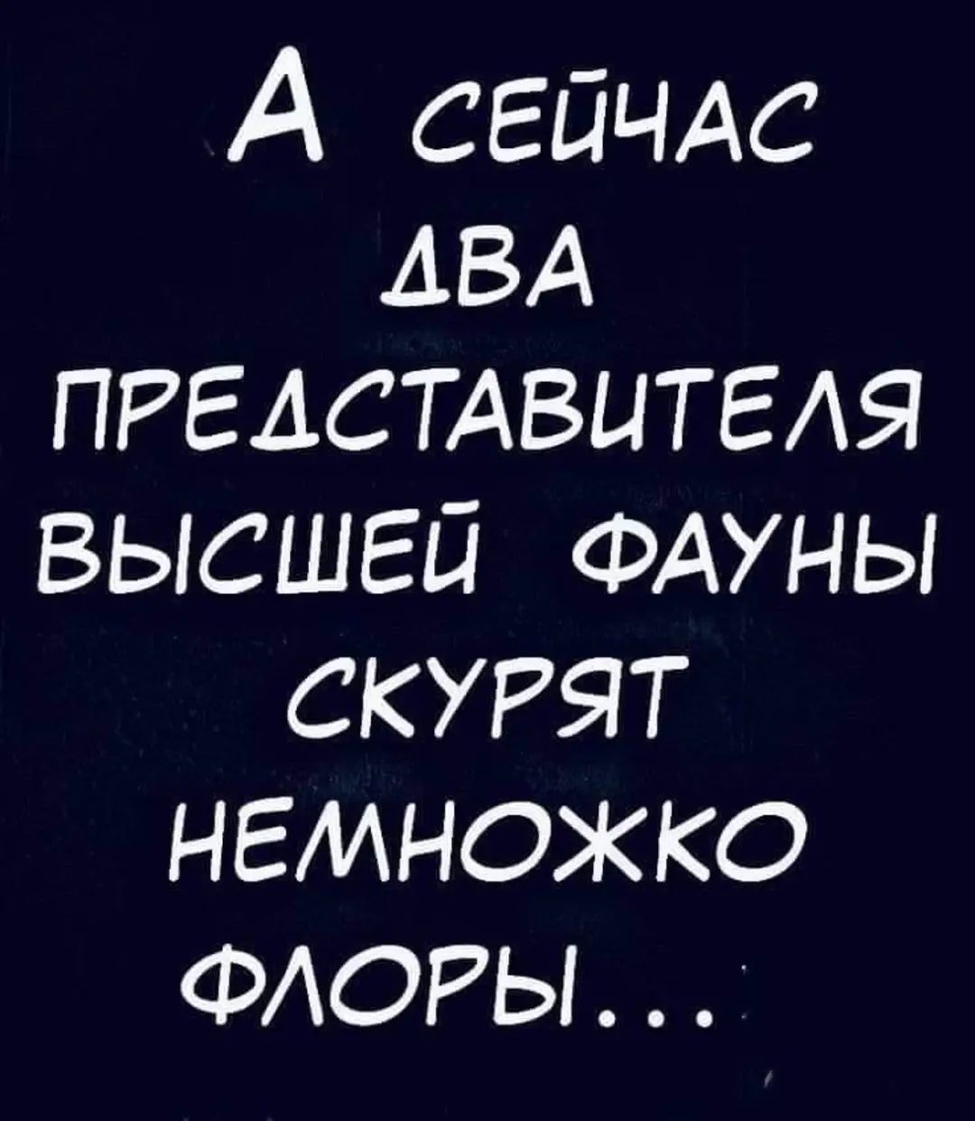 А сЕЙЧАС ДВА ПРЕДСТАВИТЕЛЯ ВЫСШЕЙ ФАУНЫ СКУРЯТ НЕМНОЖКО ФЛОРЫ