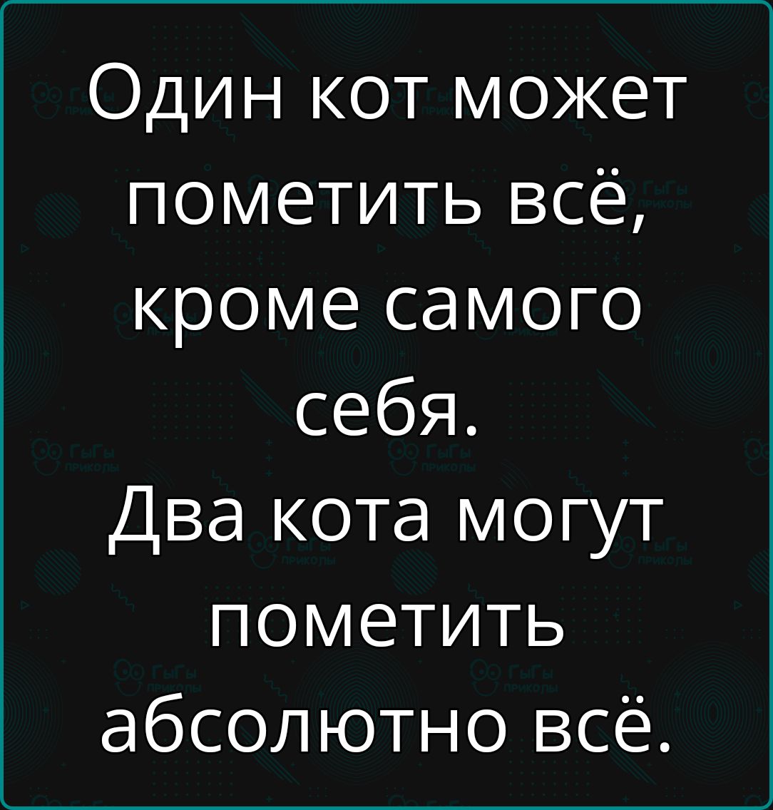 Один кот может пометить всё кроме самого себя Два кота могут пометить абсолютно всё