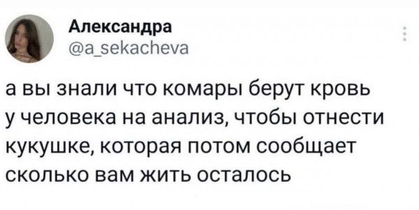 Александра а 5еКасПеуа авы знали что комары берут кровь у человека на анализ чтобы отнести кукушке которая потом сообщает сколько вам жить осталось