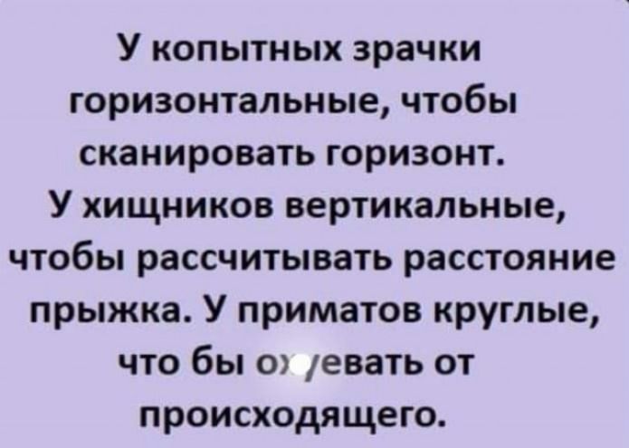 У копытных зрачки горизонтальные чтобы сканировать горизонт У хищников вертикальные чтобы рассчитывать расстояние прыжка У приматов круглые что бы о евать от происходящего