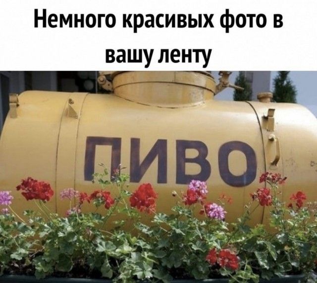 Немного красивых фото в вашу ленту и