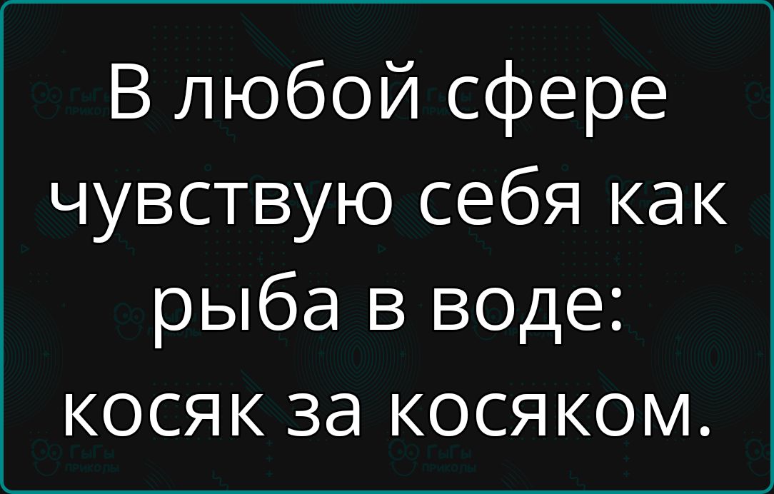 В любой сфере чувствую себя как рыба в воде косяк за косяком