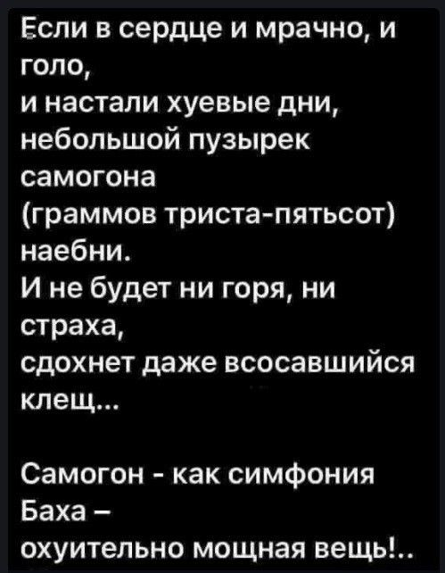 Если в сердце и мрачно и голо и настали хуевые дни небольшой пузырек самогона граммов триста пятьсот наебни И не будет ни горя ни страха сдохнет даже всосавшийся клещ Самогон как симфония Баха охуительно мощная вещь