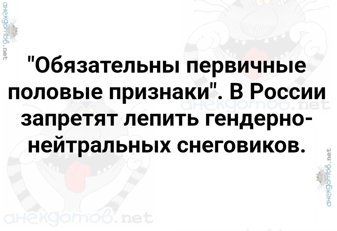 Обязательны первичные половые признаки В России запретят лепить гендерно нейтральных снеговиков