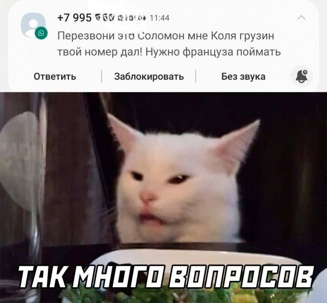 ответить Заблокировать Беззвке ТЯК мНОГО БШЛРПЕПЁ