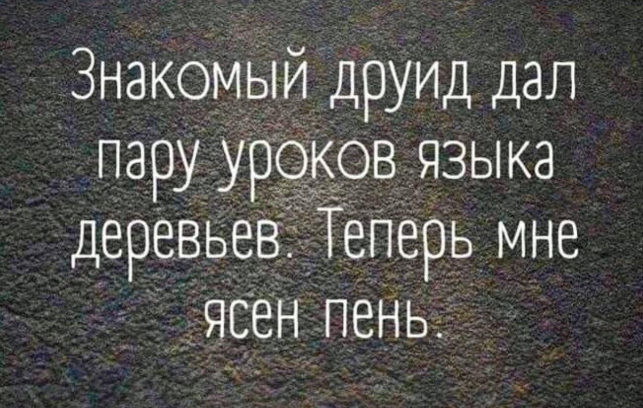 Знакомый Друид_дал пару уроков ЯЗЫКа деревьев Теперь мне ясен_Пень