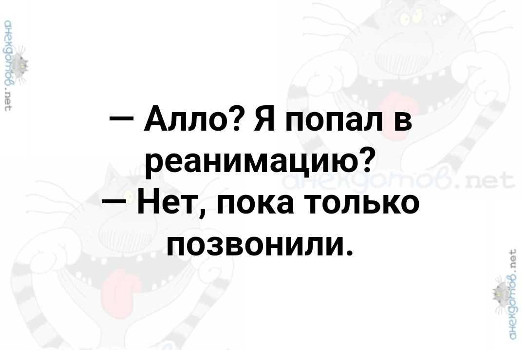 Алло Я попал в реанимацию Нет пока только позвонили