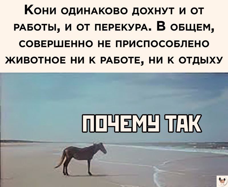 Кони ОДИНАКОВО ДОХНУТ И ОТ РАБОТЫ И ОТ ПЕРЕКУРА ОБЩЕМ СОВЕРШЕННО НЕ ПРИСПОСОБЛЕНО ЖИВОТНОЕ НИ К РАБОТЕ НИ К ОТДЫХУ ЧЕМУДАК