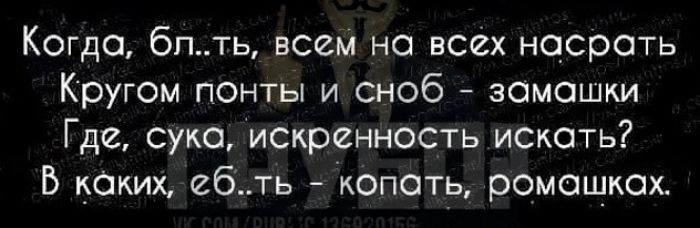 Когда блть всем на всех насрать Кругом понты и сноб замашки Где сука искренность искать В каких ебть копать ромашках