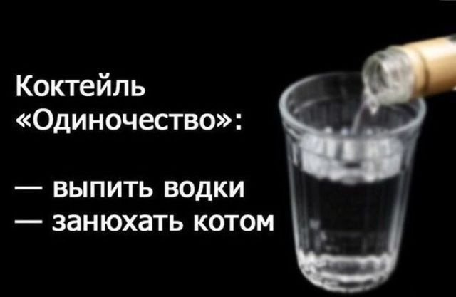 Коктейль Одиночество вЫыпить водКИ занюхать котом