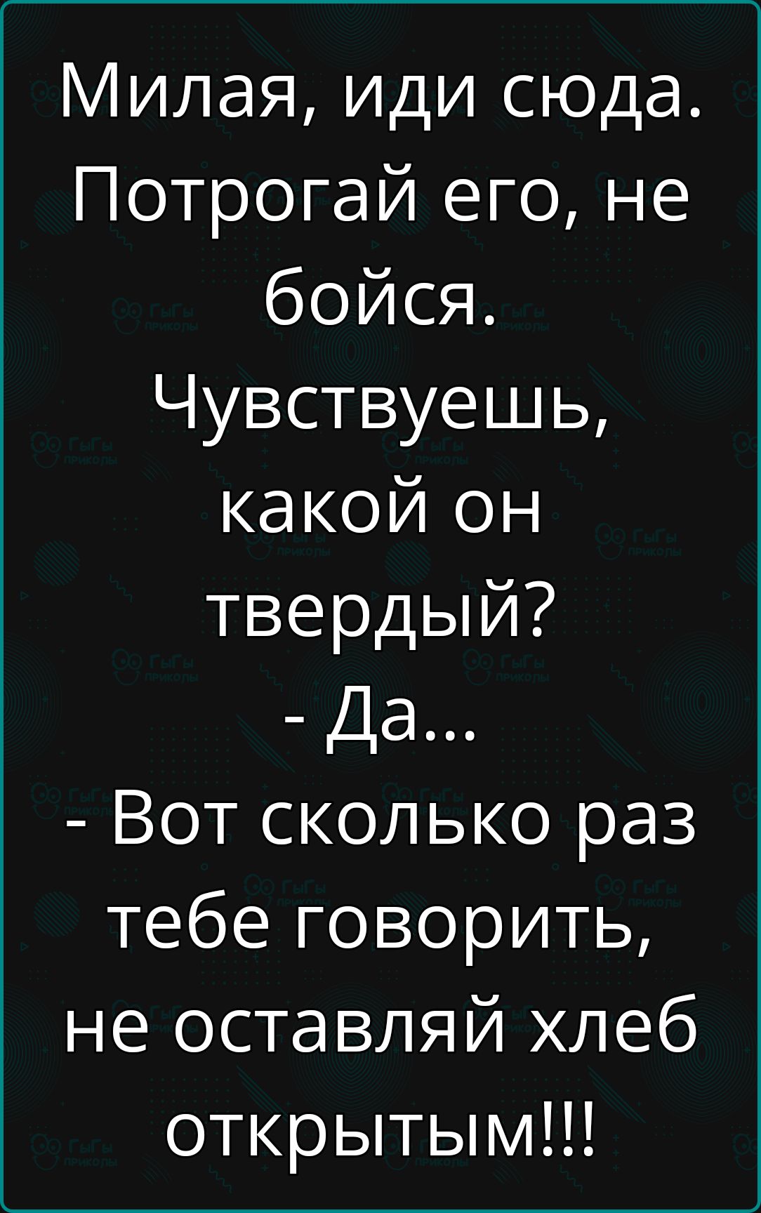 Милая иди сюда Потрогай его не бойся Чувствуешь какой он твердый Да Вот сколько раз тебе говорить не оставляй хлеб открытым