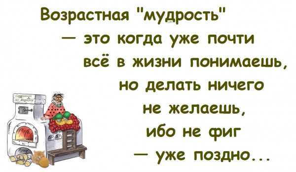 Возрастная мудрость это когда уже почти всё в жизни понимаешь но делать ничего не желаешь ибо не иг уже поздно