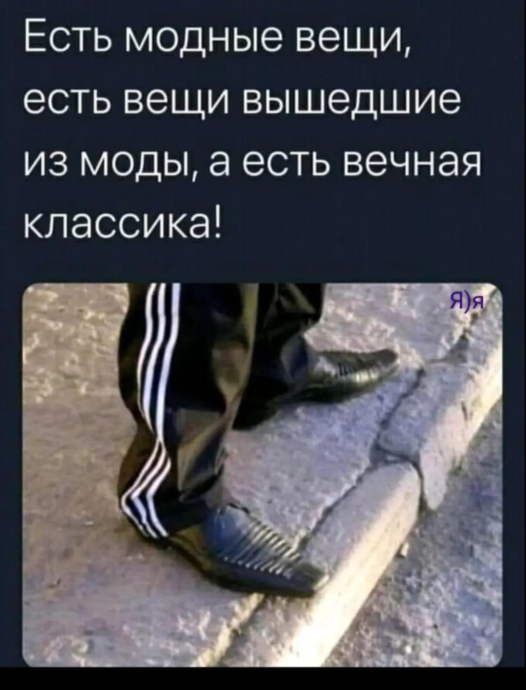 Есть модные вещи есть вещи вышедшие из моды а есть вечная классика