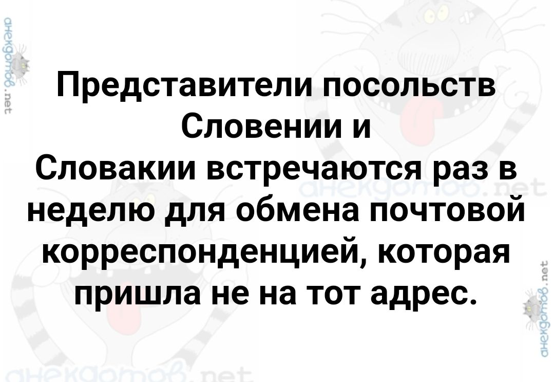 Представители посольств Словении и Словакии встречаются раз в неделю для обмена почтовой корреспонденцией которая пришла не на тот адрес