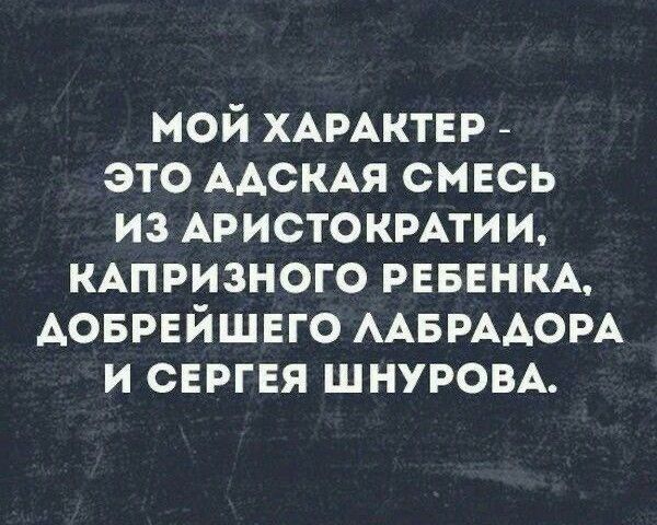 МОЙ ХАРАКТЕР ЭТО АДСКАЯ СМЕСЬ ИЗ АРИСТОКРАТИИ КАПРИЗНОГО РЕБЕНКА АОБРЕЙШЕГО ЛАБРАДОРА И СЕРГЕЯ ШНУРОВА