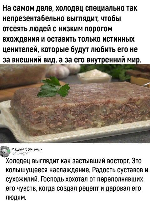 На самом деле холодец специально так непрезентабельно выглядит чтобы отсеять людей с низким порогом вхождения и оставить только истинных ценителей которые будут любить его не за внешний вид а за его внутренний мир Хопадец выглядит как застывший восторг Это колышущееся наслаждение Радость суставов и сухожилий Господь хохотал от переполнявших его чув