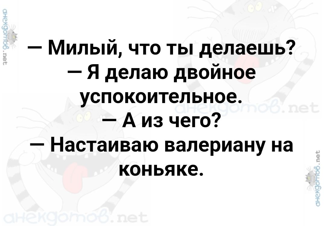 Милый что ты делаешь Я делаю двойное успокоительное Аиз чего Настаиваю валериану на коньяке