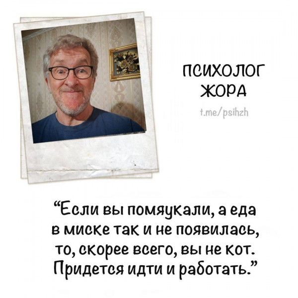 ПСИХОЛОГ ЖОРА Если вы помяукали а еда в миске так и не появилась то скорее всего вы не кот Придется идти и работать