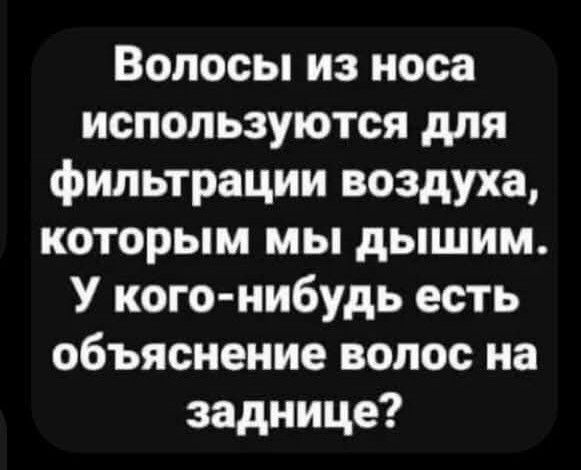 Волосы из носа используются для фильтрации воздуха которым мы дышим У кого нибудь есть объяснение волос на заднице