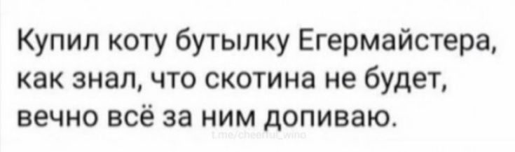 Купил коту бутылку Егермайстера как знал что скотина не будет вечно всё за ним допиваю