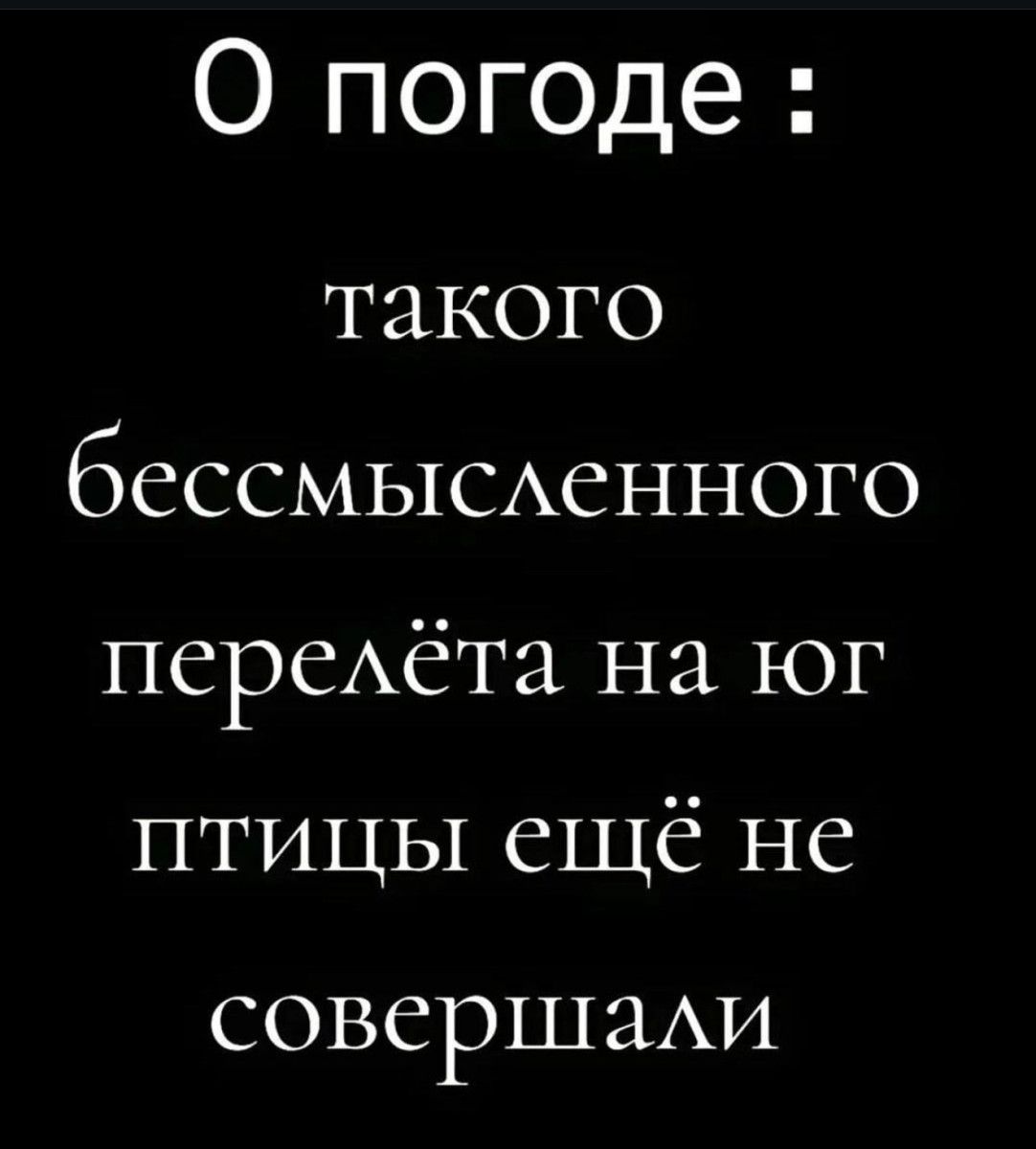 О погоде такого бессмысленного перелёта на юг птицы ещеё не совершали