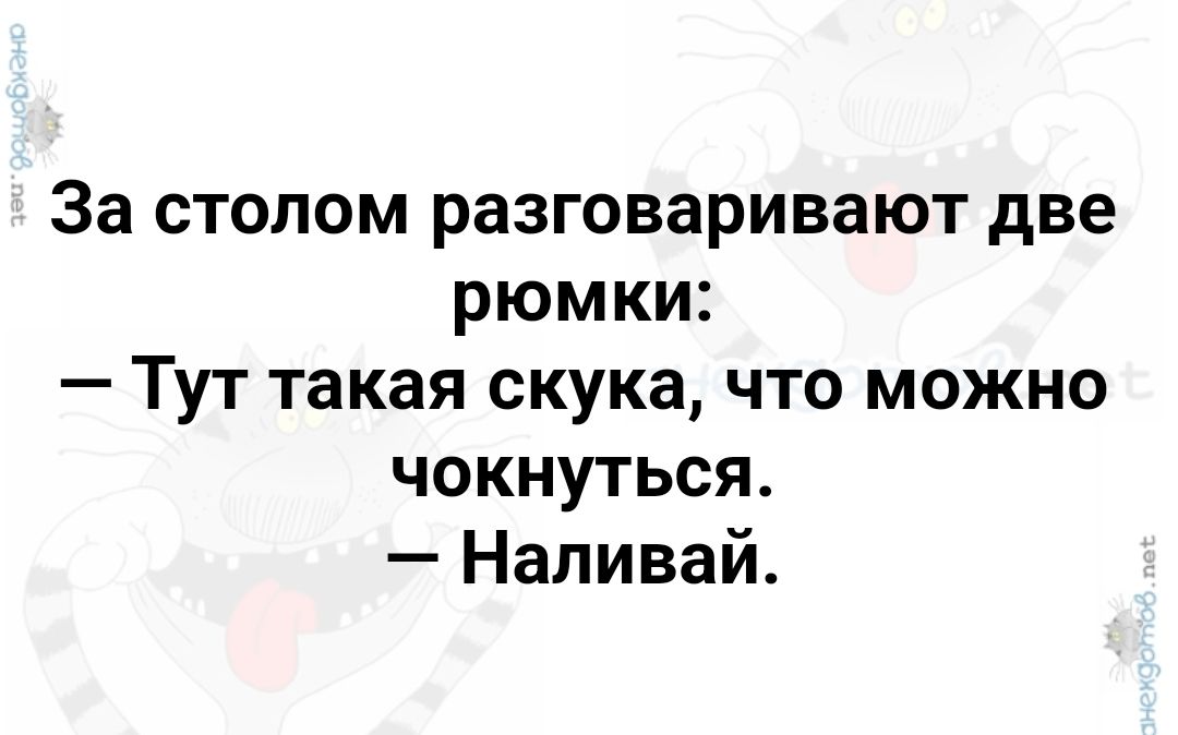 За столом разговаривают две рюмки Тут такая скука что можно чокнуться Наливай