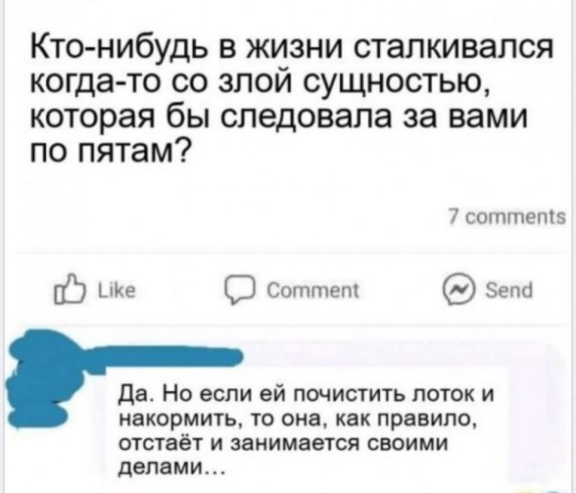 Кто нибудь в жизни сталкивался когда то со злой сущностью которая бы следовала за вами по пятам 7 соттеп шке Сотитет Зепа о Да Но если ей почистить лоток и накормить то она как правило отстаёт и занимается своими делами