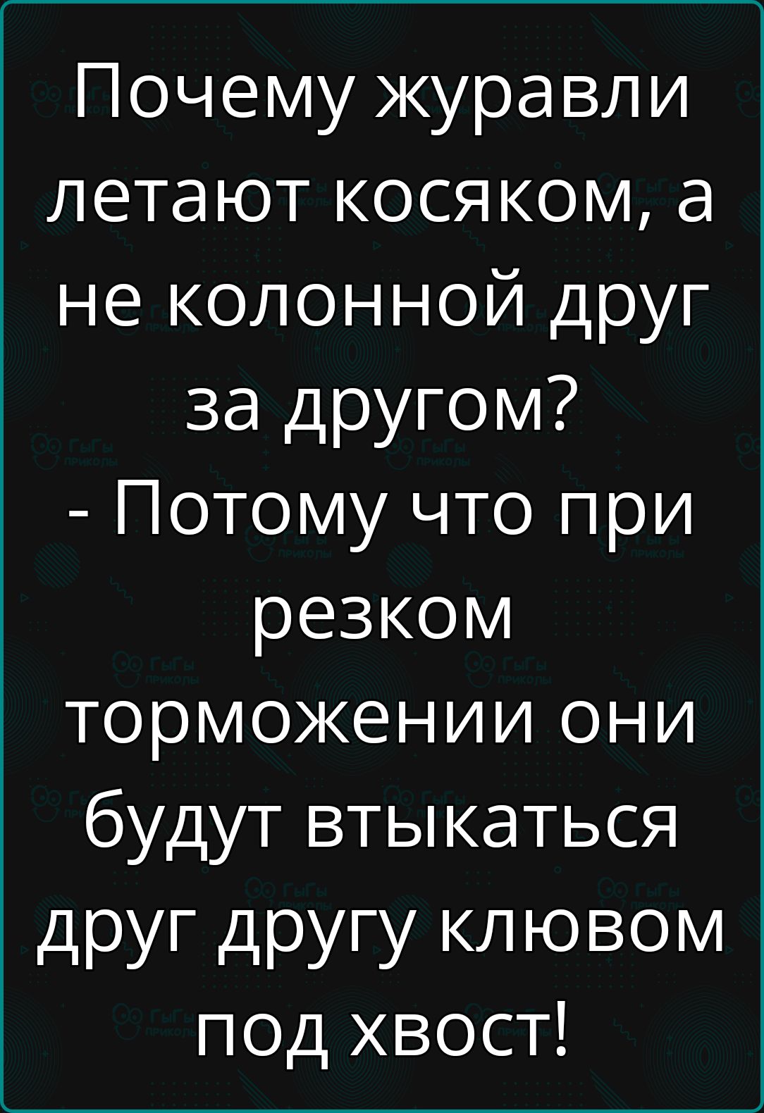 Почему журавли летают косяком а не колонной друг за другом Потому что при резком торможении они будут втыкаться друг другу клювом под хвост