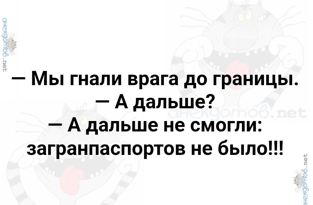 Мы гнали врага до границы А дальше А дальше не смогли загранпаспортов не было